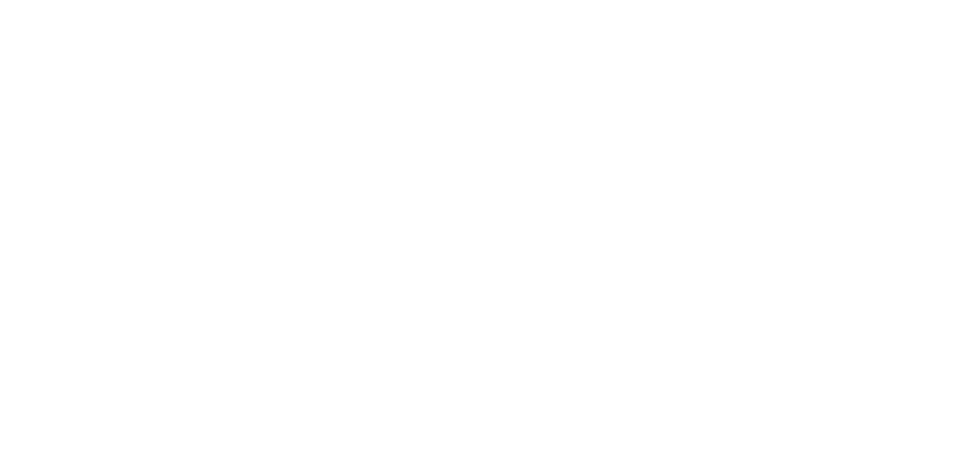 CEL_Leadership_blanco_horizontal