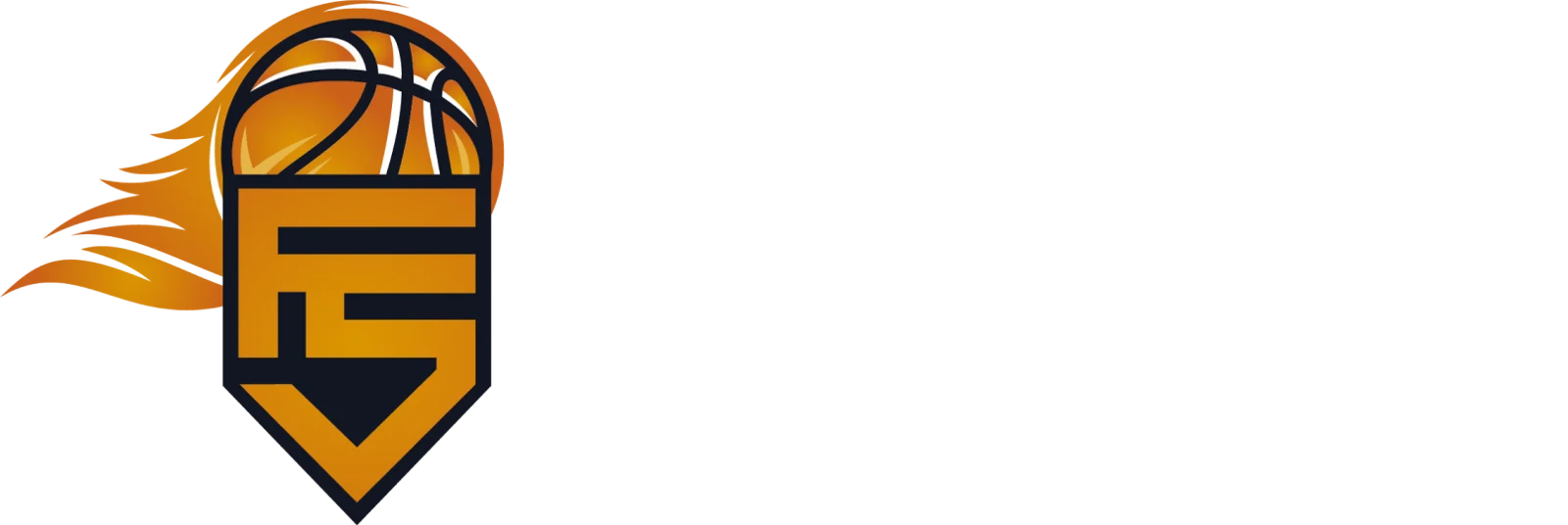 Fabricio Salas Basketball Academy